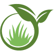 Visalia Lawn Clean Up