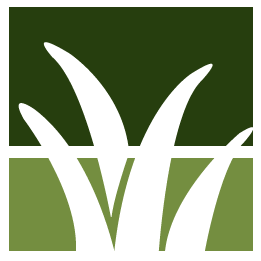 Visalia Lawn Clean Up