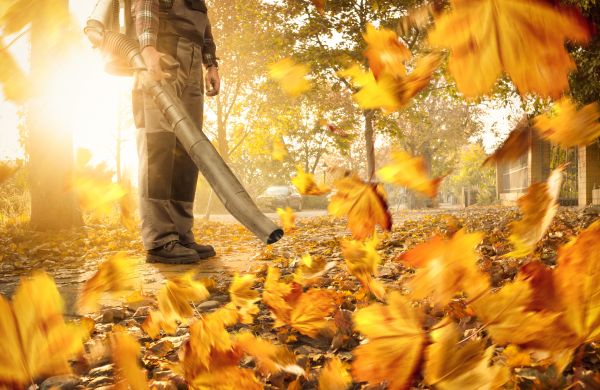 Leaf Blowing Service