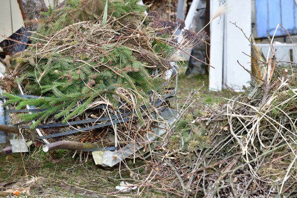 Yard Waste Removal Service in Visalia