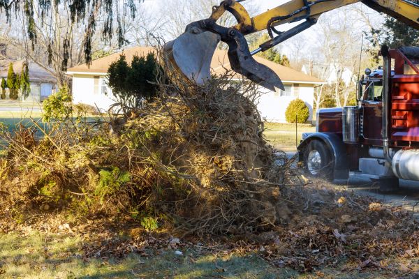 Storm Debris Removal in Visalia