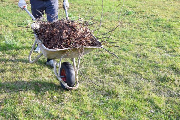 Yard Brush Removal in Visalia