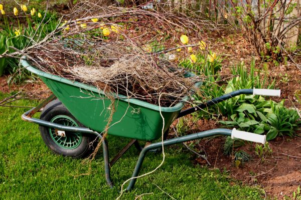 Lawn Waste Removal in Visalia