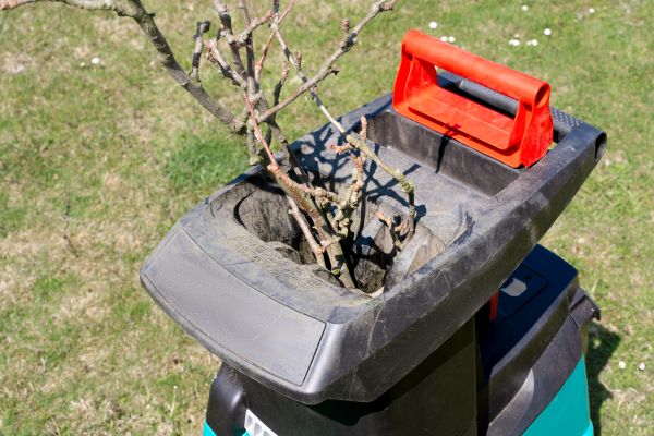 Brush Cleanup Service in Visalia
