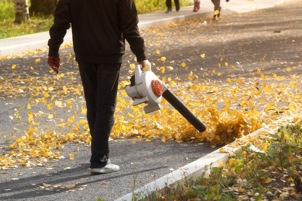 Commercial Leaf Removal in Visalia