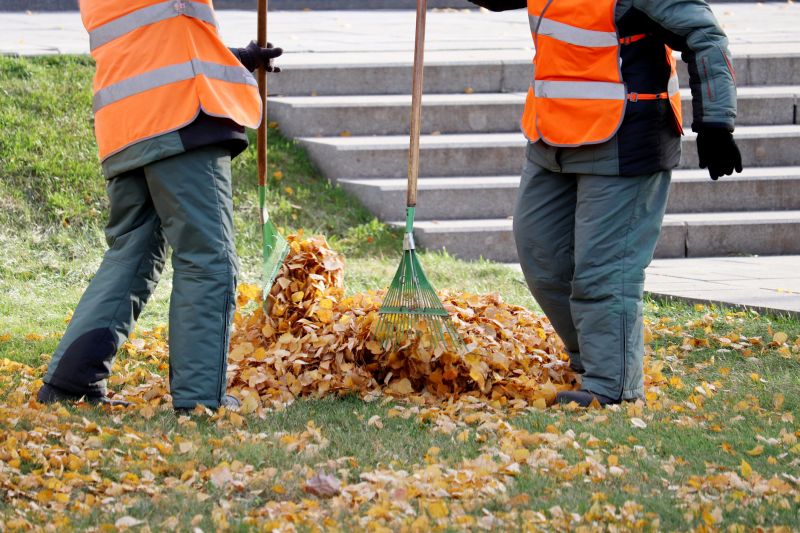 Leaves Being Raked by Professionals