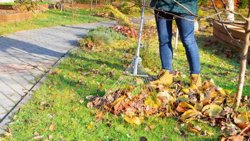 Leaf Raking Techniques