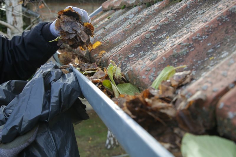 Gutter and Roof Debris Removal